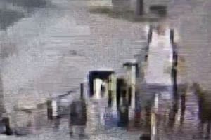 Un paseador golpeó a un perro en Vicente López y ahora lo buscan por todos lados
