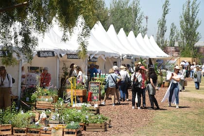 Un paseo al aire libre para reunirse con la pasión por la jardinería