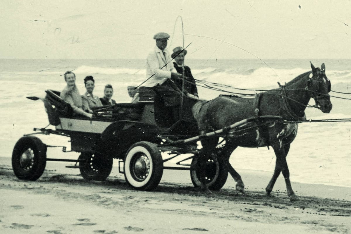 Un paseo en carro por las playas de Pinamar