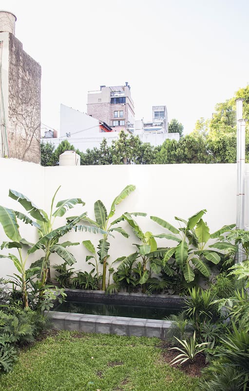 Un patio urbano en planta baja que, gracias a las especies de plantas elegidas, es un pulmón verde entre medianeras.
