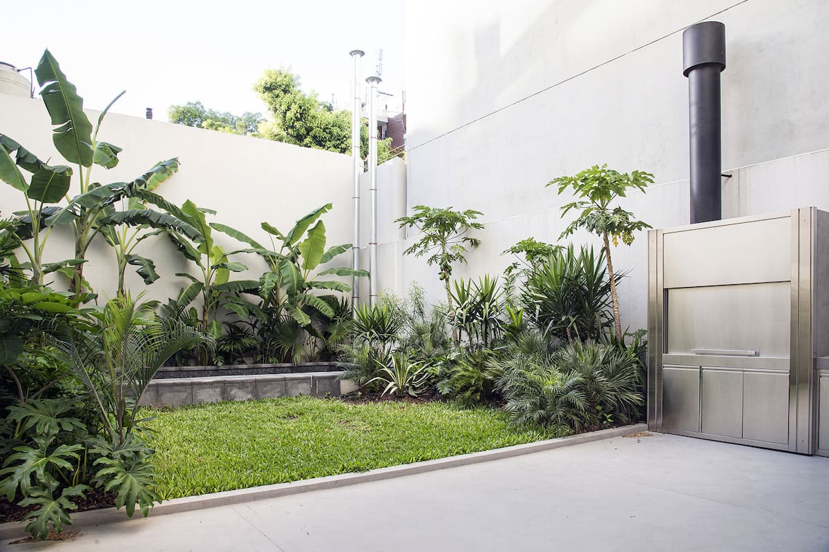 Un patio urbano en planta baja que, gracias a las especies de plantas elegidas, es un pulmón verde entre medianeras.