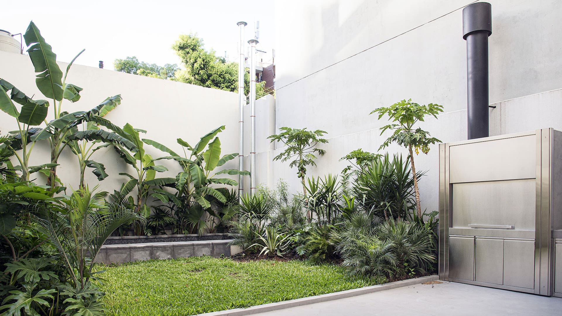 Un patio urbano en planta baja que, gracias a las especies de plantas elegidas, es un pulmón verde entre medianeras.