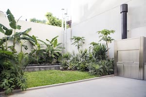 Un patio urbano en planta baja que, gracias a las especies de plantas elegidas, es un pulmón verde entre medianeras.
