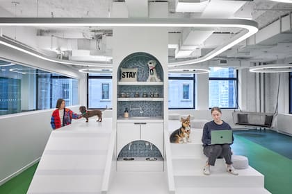 Un pedestal central escalable en una de las características de esta oficina diseñada para agradar a los perros.