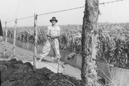 Un peón trabaja en la construcción de las barreras para contener el avance de la langosta
