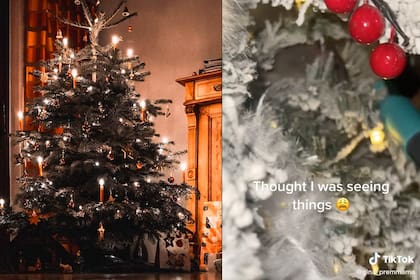 Un pequeño animal estaba entre las ramas del árbol de Navidad de una tiktoker