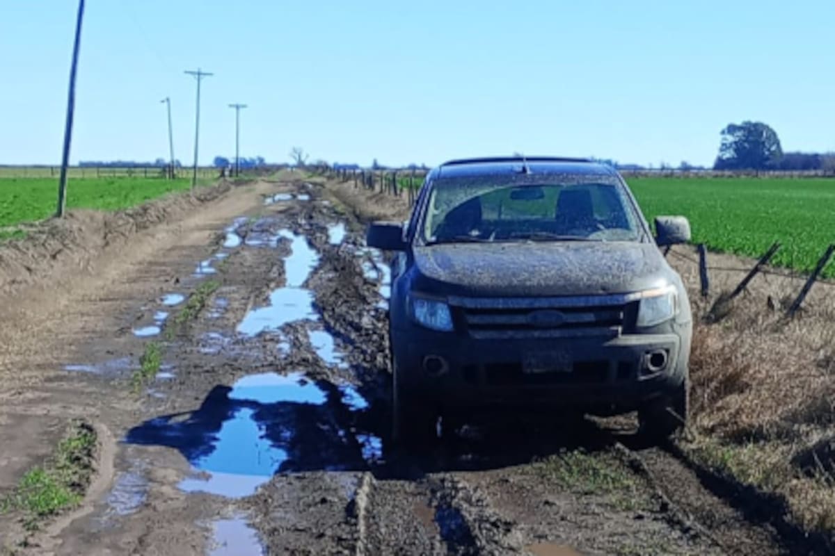 Un perito ingeniero civil constató que los caminos, de suelo natural, perdían capacidad de resistencia con la lluvia y la humedad, lo que dificultaba o impedía la circulación de vehículos y maquinaria pesada