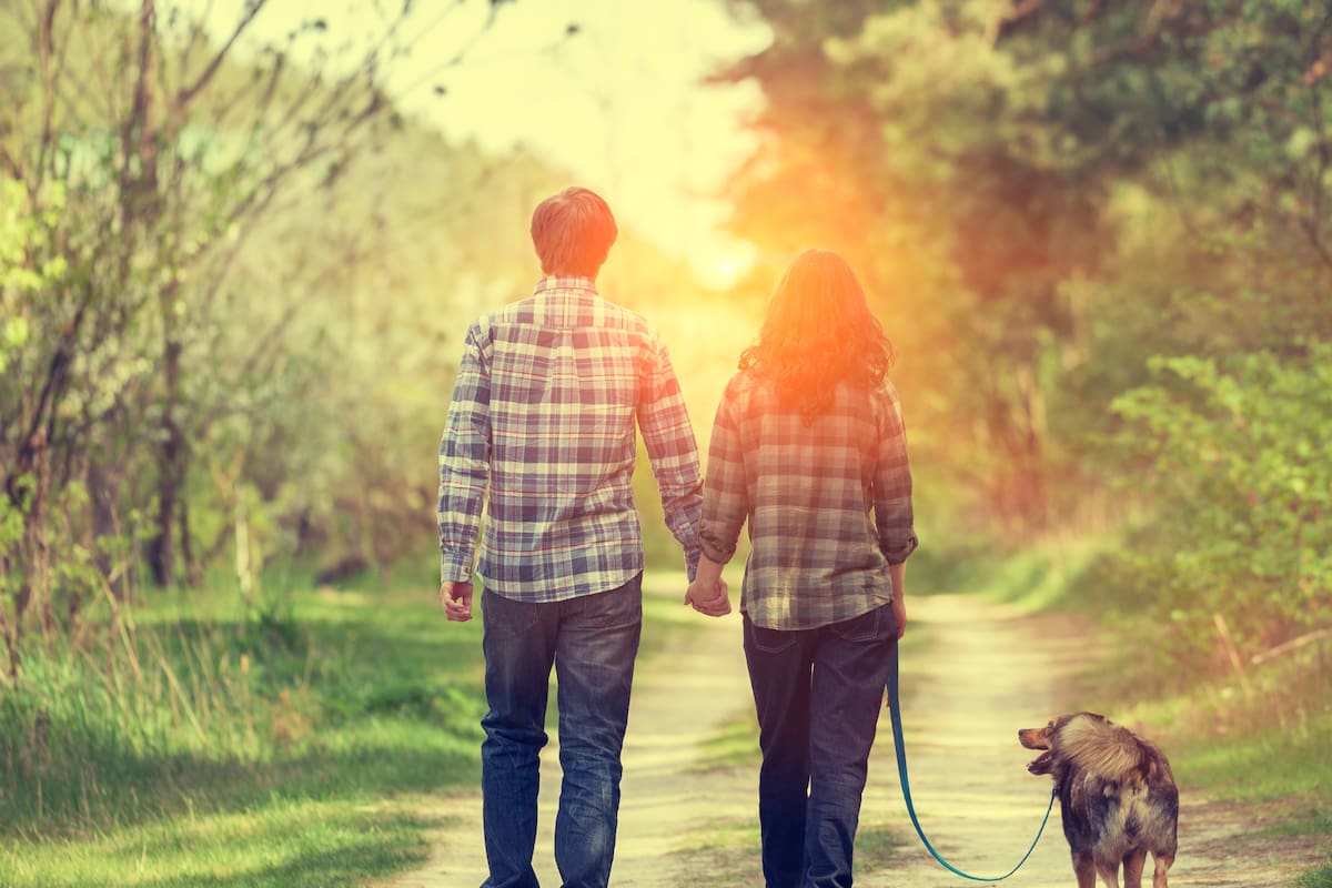 ¿Un perro cupido?