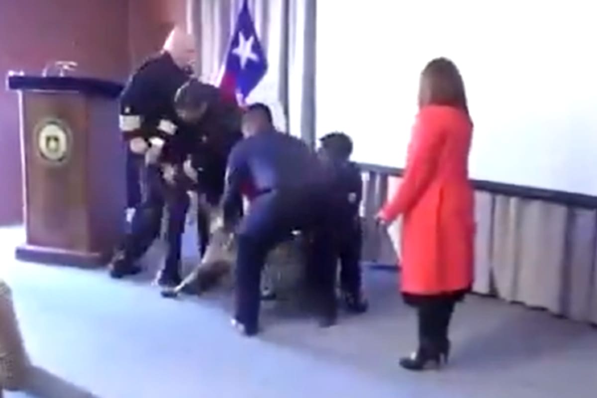 Un perro antidrogas se abalanzó sobre el bolsillo de un vicealmirante durante una ceremonia en Chile