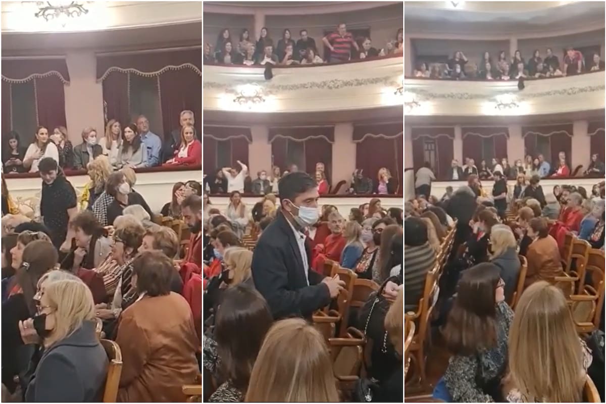 Un perro callejero cayó sobre una espectadora desde el palco de un teatro (Foto: Captura de video)