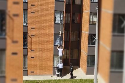 Un perro casi pierde la vida al quedar colgado desde una ventana (Captura video)