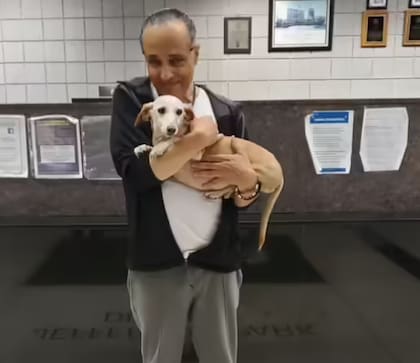 Un perro de servicio es un animal entrenado específicamente para ayudar a una persona con discapacidad a realizar tareas cotidianas que, de otro modo, serían difíciles o imposibles (Foto: Redes sociales)