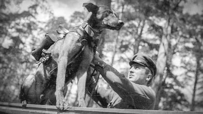 Un perro es adiestrado por un soldado soviético
