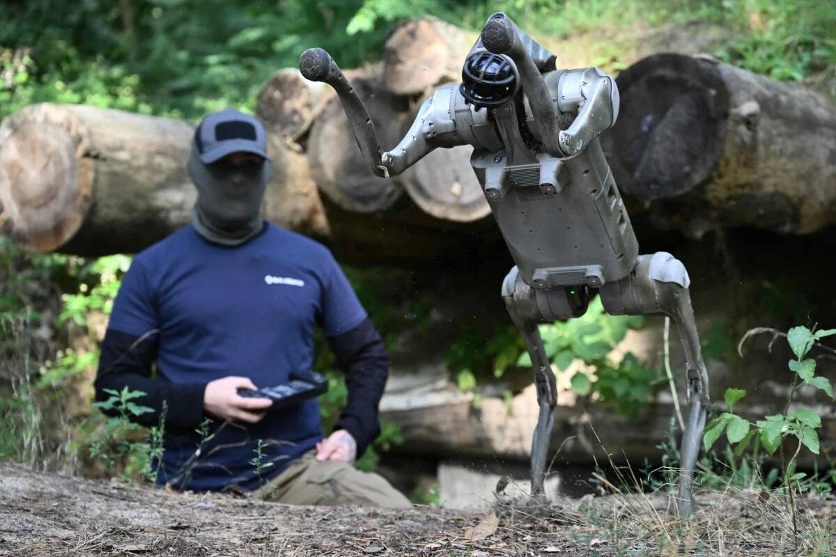 Un perro robot que está probando Ucrania para usar en el frente ruso