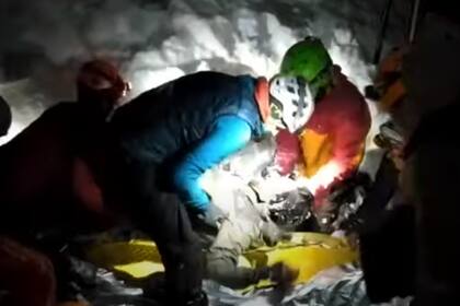 Un perro salvó a un esquiador enterrado bajo un metro y medio de nieve por una avalancha en Ushuaia