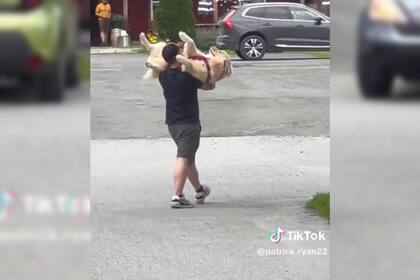 Un perro se viralizó por no querer caminar (Captura video)