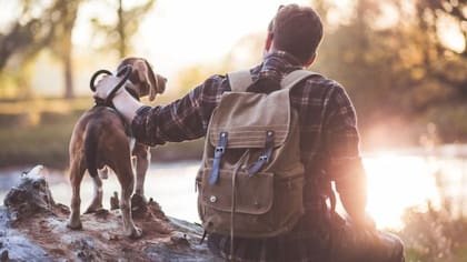 Un perro te impulsa a salir a caminar