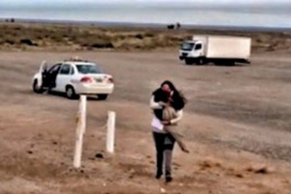 Un perro viajó más de 400 kilómetros en taxi para encontrarse con sus dueños