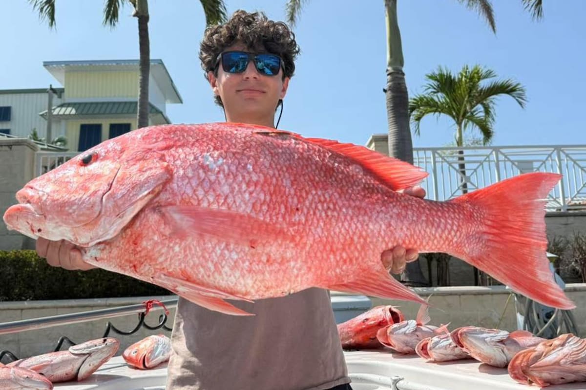 Un pescador de Florida atrapó un pargo rojo que había sido capturado nueve años atrás