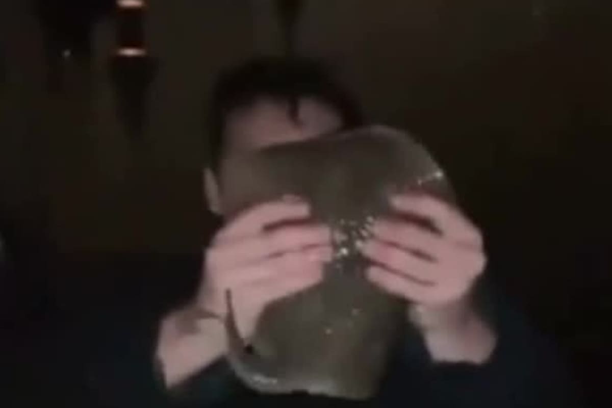 Un pescador que quiso grabarse con una mantarraya redonda de Haller terminó siendo picado