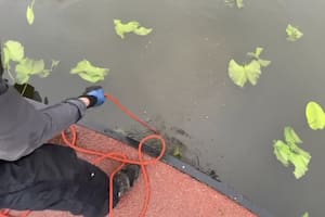 Pescaba con imán en un lago de Georgia y halló evidencia de un doble crimen de hace casi 10 años