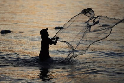 Un pescados de Tailandia encontró una extraña criatura mientras realizaba sus tareas cotidianas. Imagen ilustrativa