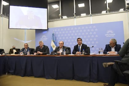 Un plenario de comisiones dictaminó hoy la regulación del cannabis medicinal.