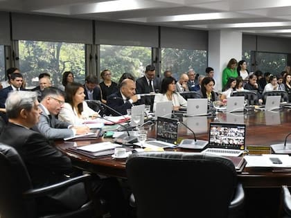 Un plenario del Consejo de la Magistratura, presidido por el juez Horacio Rosatti