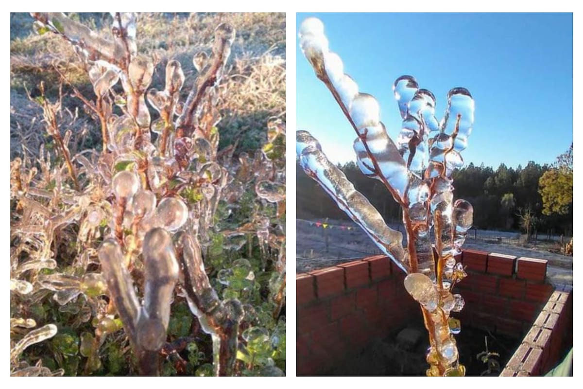 Un poco usual fenómeno meteorológico sorprendió a los habitantes de una localidad misionera