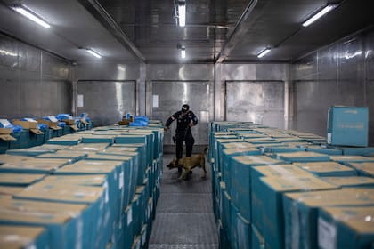 Un policía inspecciona cajas con camarones que serán exportadas en Guayaquil