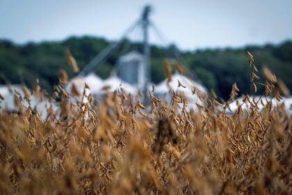 Un portavoz del USDA dijo que esta medida refleja el compromiso del presidente Trump de ayudar a los agricultores