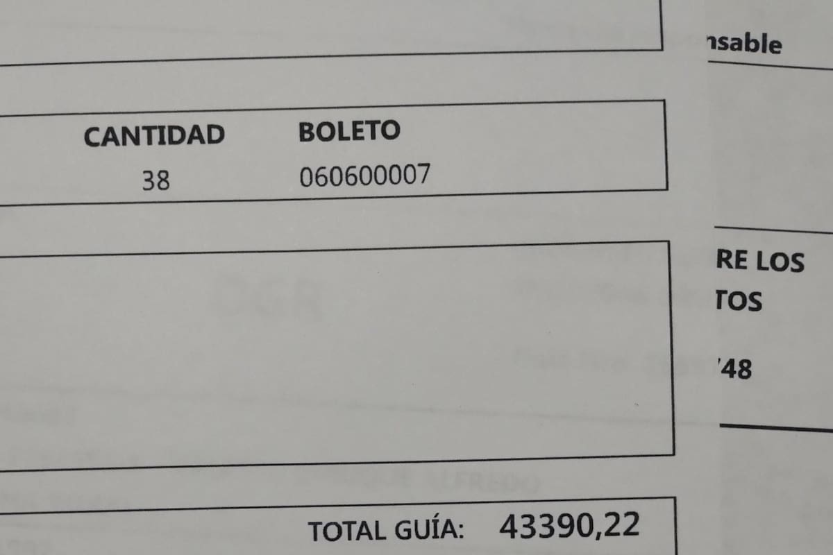 Un productor agropecuario de La Pampa reveló cuánto tuvo que pagar por Guía e Ingresos Brutos