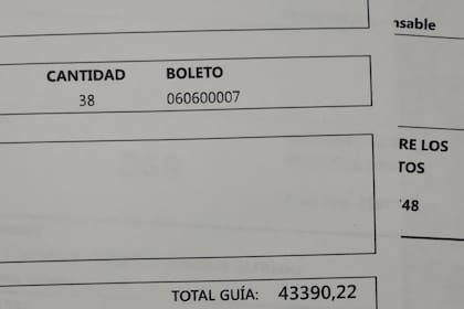Un productor agropecuario reveló cuánto tuvo que pagar por Guía e Ingresos Brutos