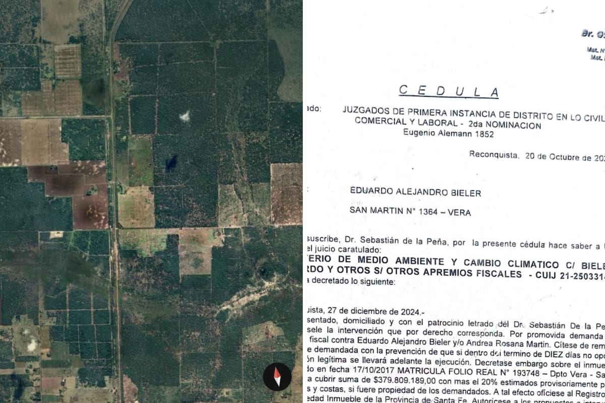 Un productor fue multado por una presunta infracción a la ley de bosques nativos
