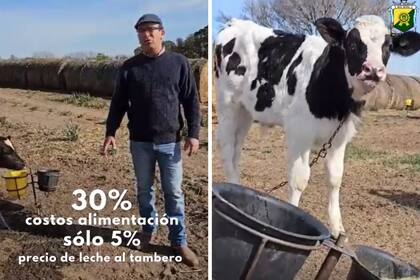 Un productor tambero contó en un video cómo viven la situación de la lechería