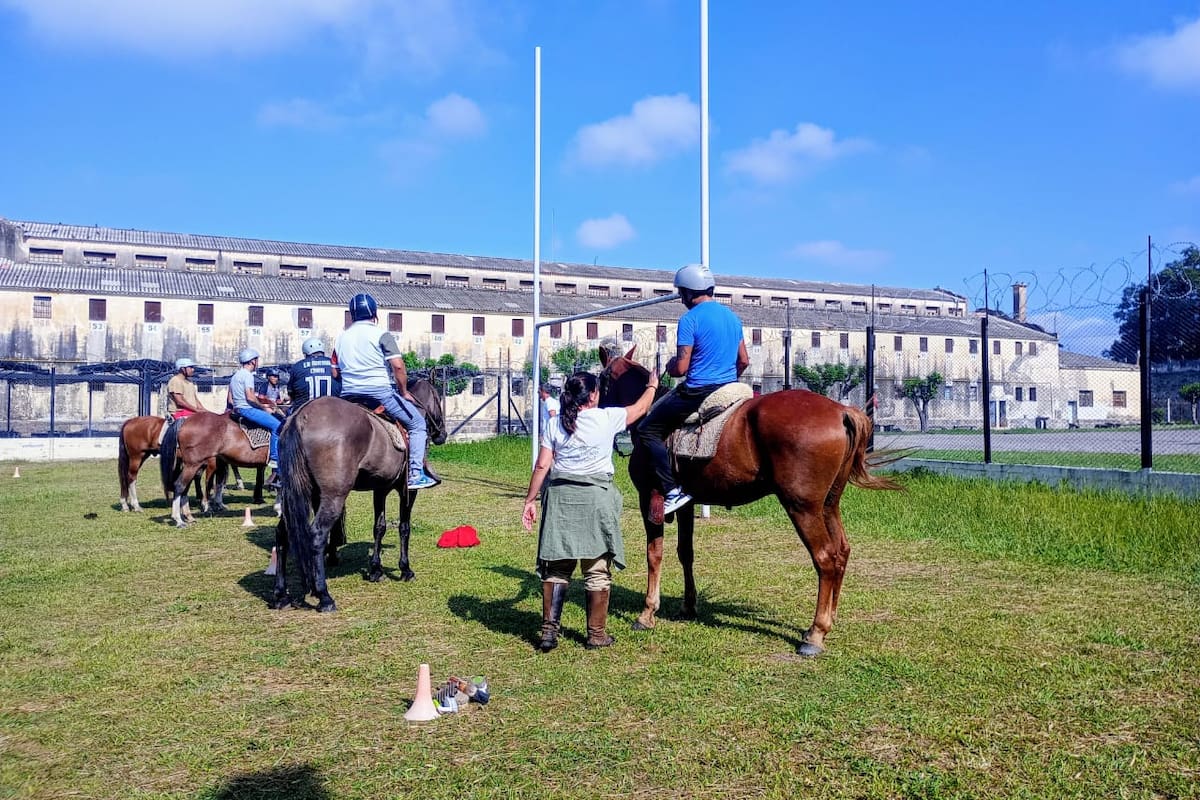 Un programa nacido en una sala de hospital llegó a la cárcel con una propuesta terapéutica basada en el vínculo con caballos