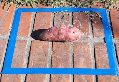 Un proyecto de arte efímero para una alimentación sostenible