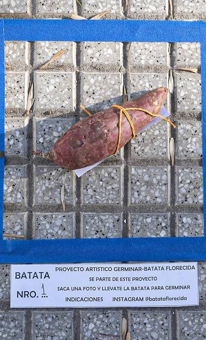 Un proyecto de arte efímero para una alimentación sostenible