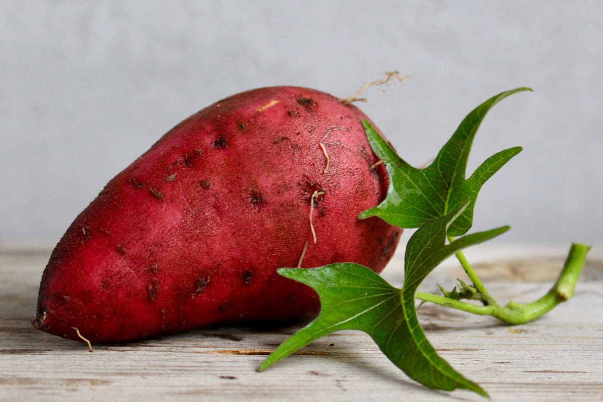 Un proyecto de arte efímero para una alimentación sostenible
