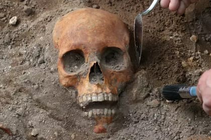 Un proyecto de transporte debió detenerse cuando descubrieron los restos de un antiguo cementerio medieval