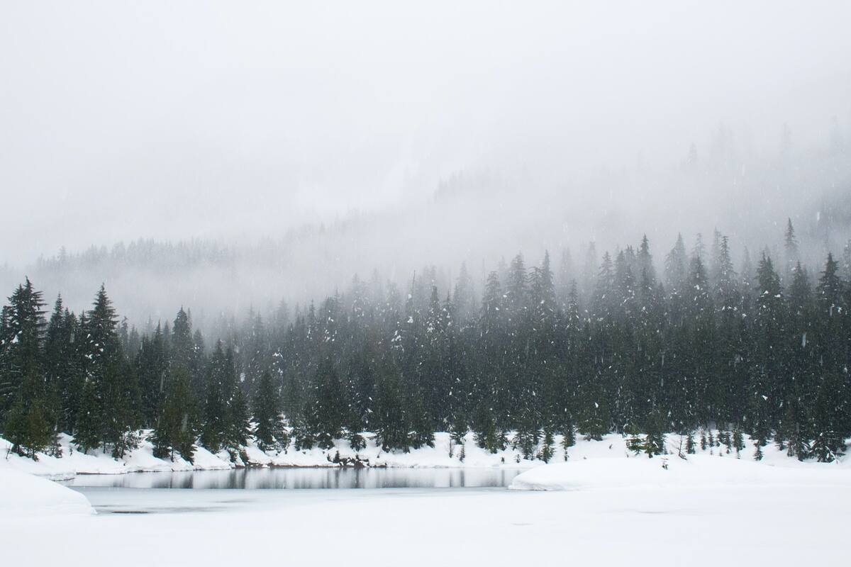 Un pueblo de EE.UU. sufrió las consecuencias del cambio climático; dos fábricas fueron las responsables