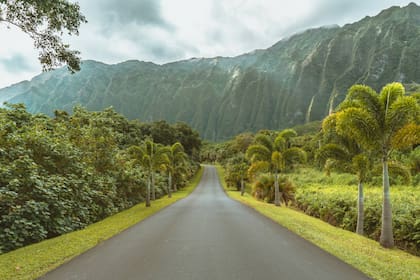 Un pueblo de Hawái recibió una serie de misteriosas compras de lotes por parte de un empresario estadounidense