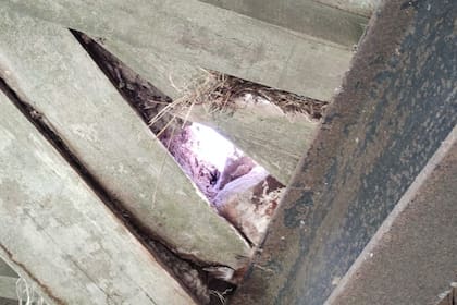 Un puente, ubicado en un camino rural de Balcarce, se encuentra deteriorado y dificulta el paso de la producción, los vecinos y el transporte escolar que llega hasta la Escuela N° 32