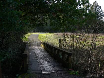 Un puente y un antiguo sendero para carritos de golf en San Gerónimo Commons.