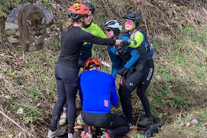 Un puma macho de 35 kilos atacó a una mujer que viajaba en bicicleta en un sendero al noreste de Fall City, Washington