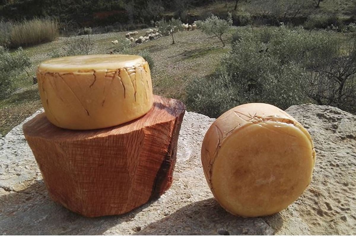 Un queso artesanal fabricado con energía solar
