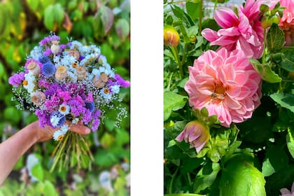 Un ramo de flores secas y, a la derecha, la figurita difícil del lugar: las dalias.