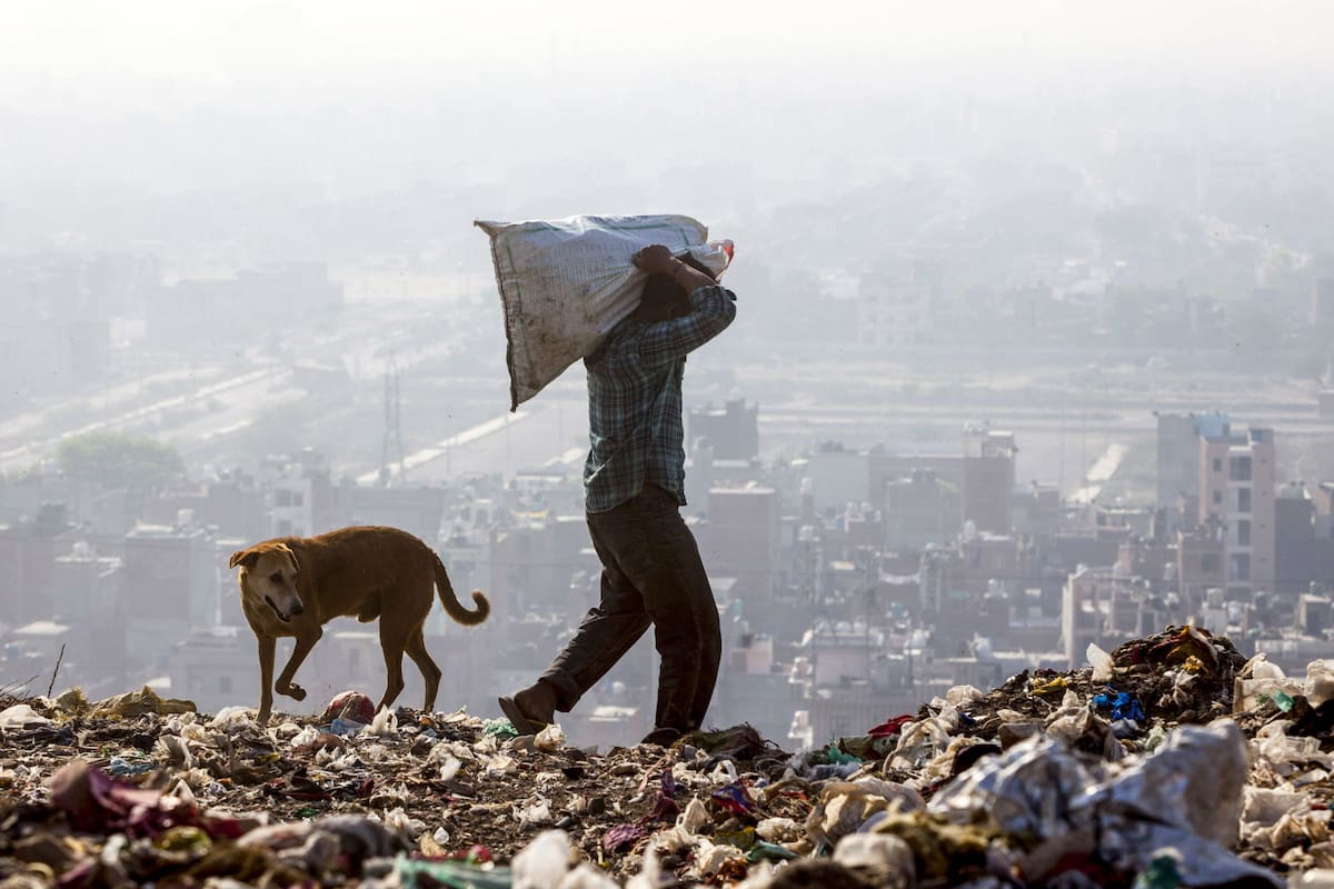 Un recolector de basura en india busca materiales reciclables clasificados en la parte superior del vertedero de Ghazipur en Nueva Delhi. Es la montaña de basura más alta de la India y más alta que Taj Majal, símbolo de India.