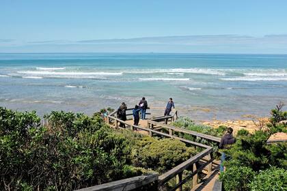 Un recorrido de poco más de 24 horas por esta ruta en el sur del estado de Victoria alcanza para ver algo de la variedad de playas y pueblitos costeros, pero sobre todo para comprender que quedan muchas más razones para volver