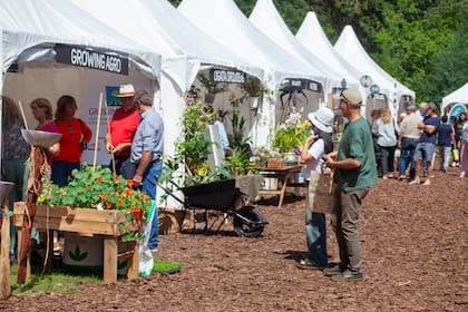 Un recorrido por alguno de los stands de Jardín Fest 2024.